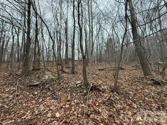 0 Treadway Ridge Road