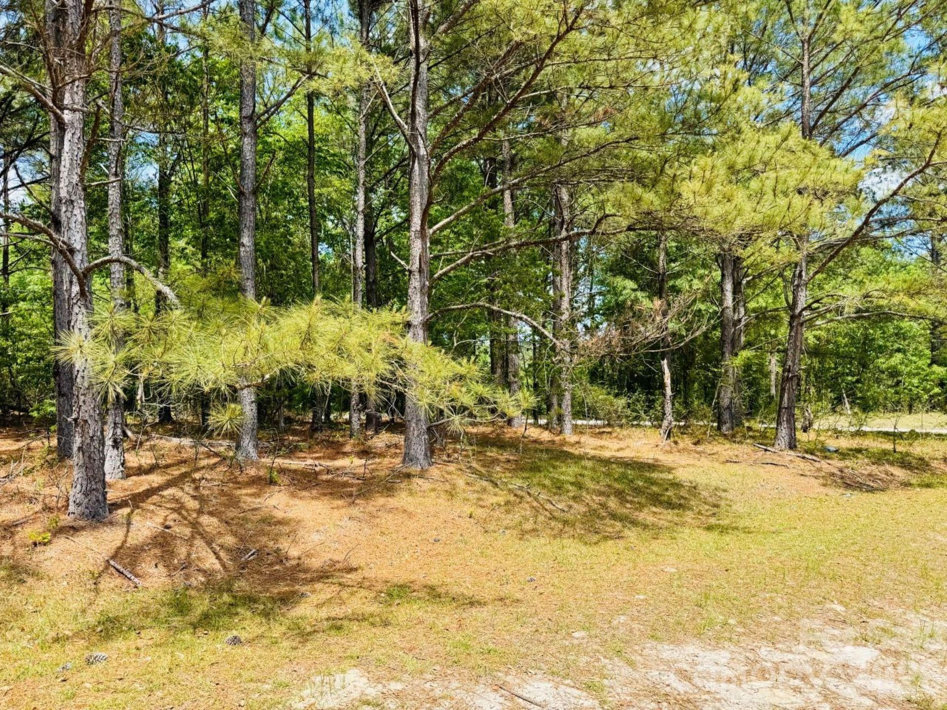 Lot at 385 Elbert Baskins Road, Cheraw