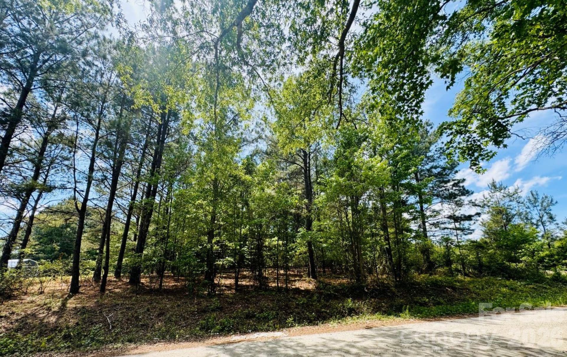 Lot at 385 Elbert Baskins Road, Cheraw, photo 4 of 11