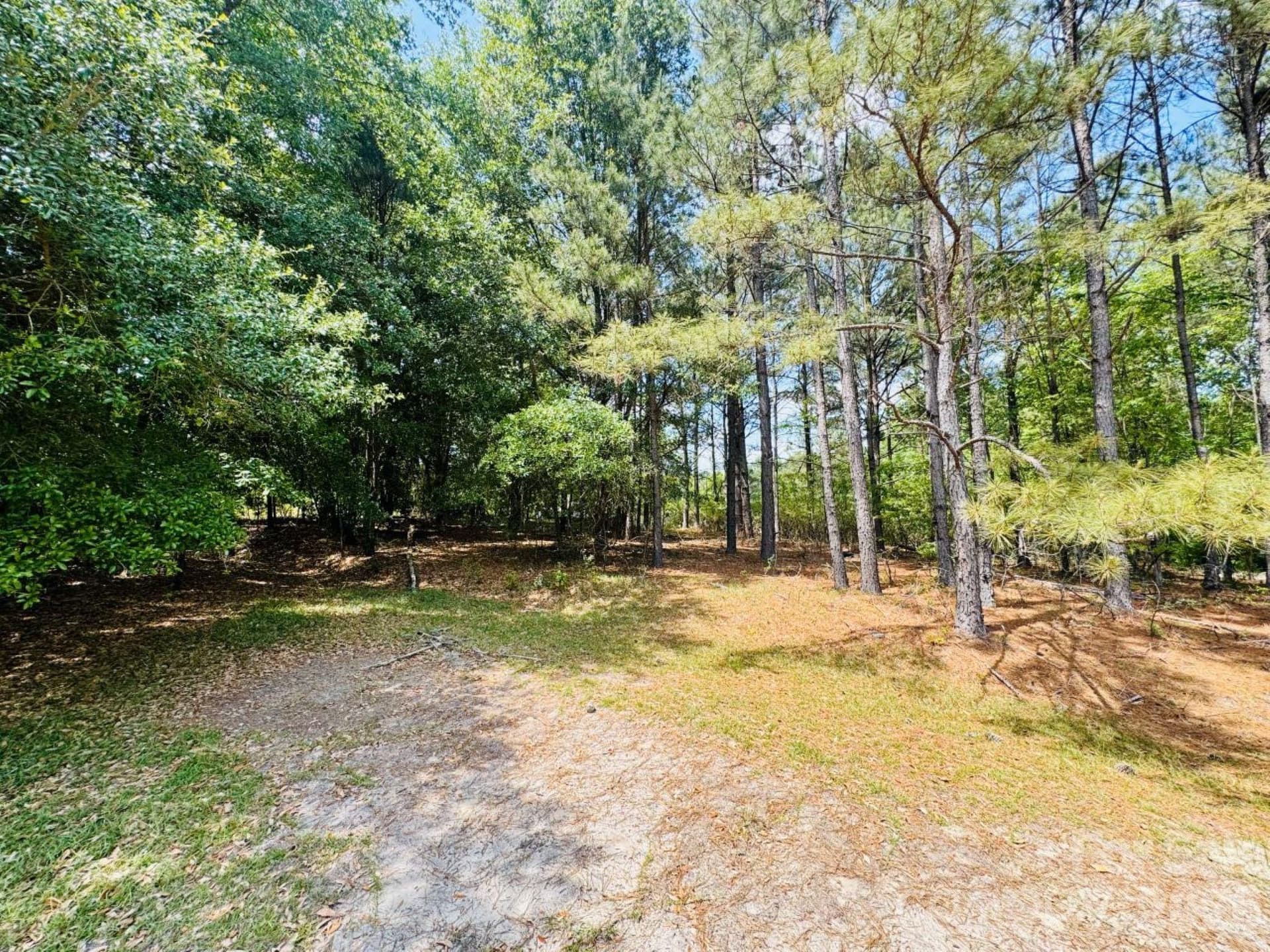 Lot at 385 Elbert Baskins Road, Cheraw, photo 6 of 11