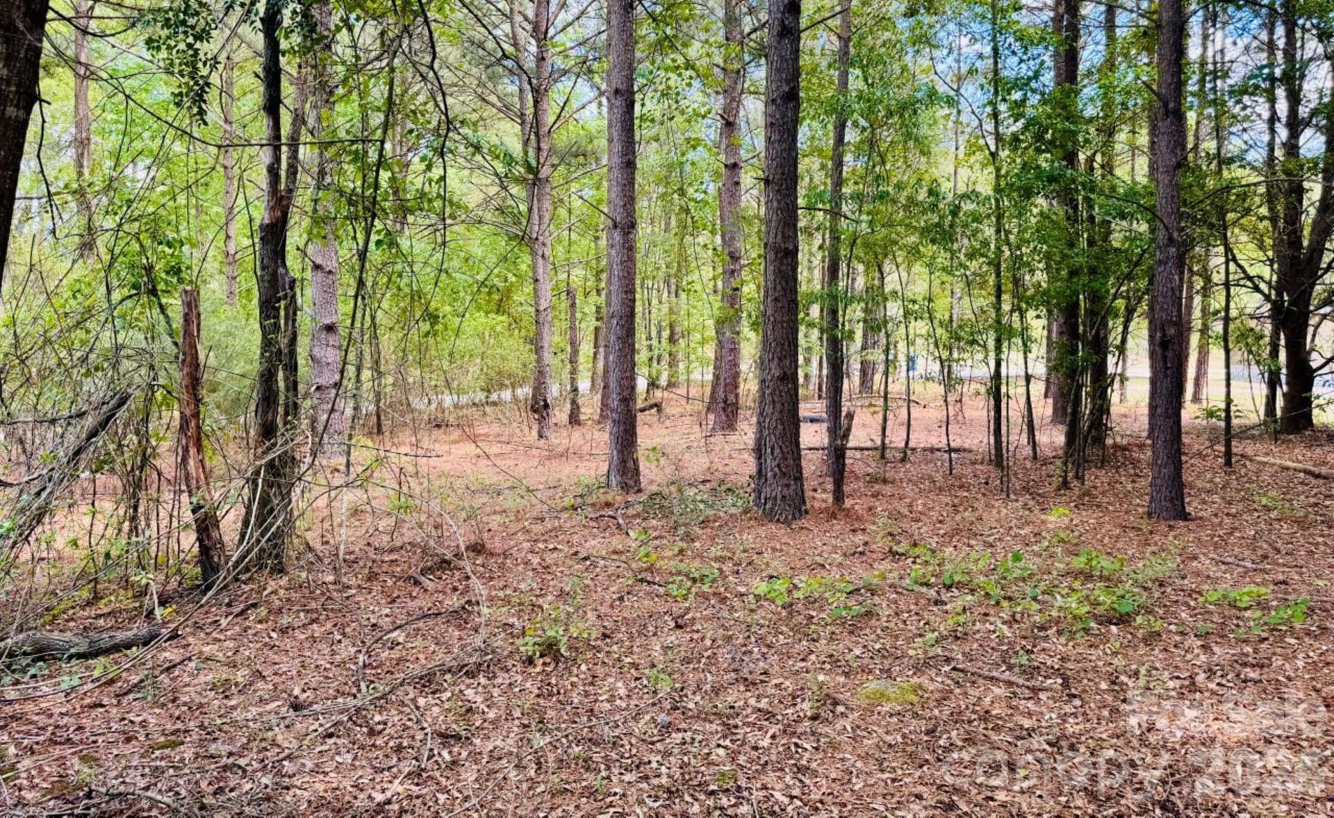 Lot at 385 Elbert Baskins Road, Cheraw, photo 9 of 11