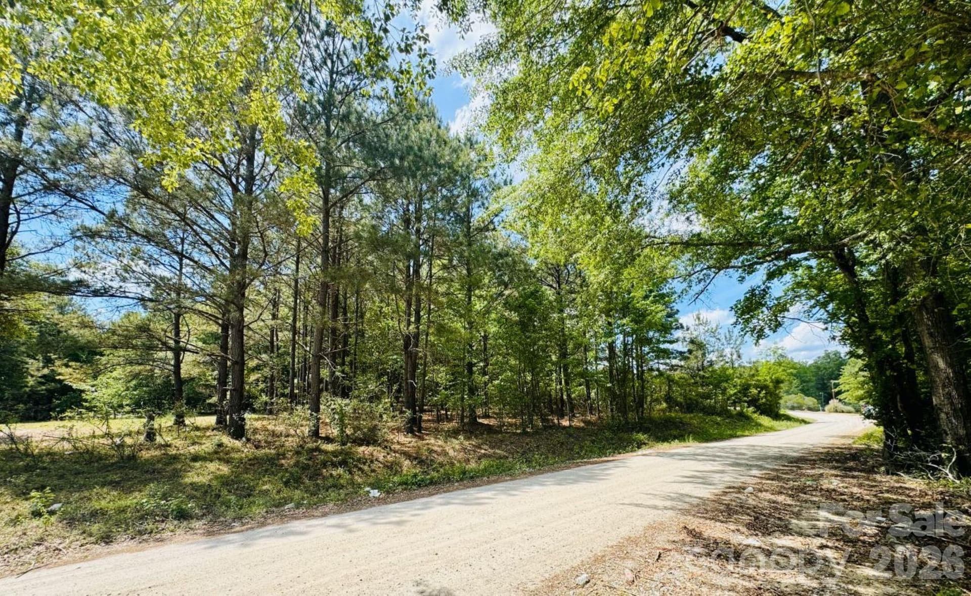 Lot at 385 Elbert Baskins Road, Cheraw, photo 11 of 11