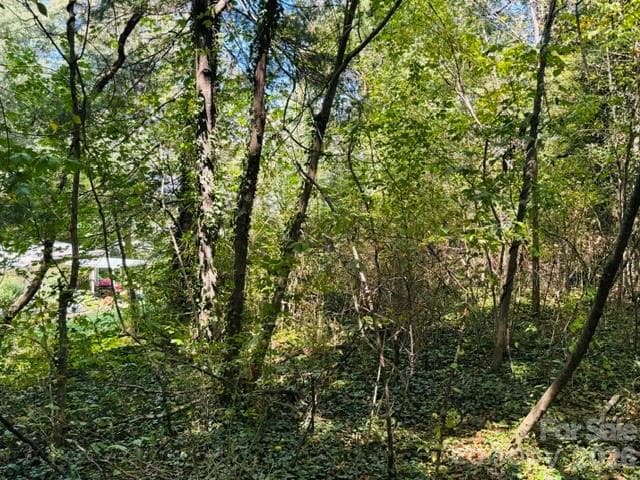 Lot at TBD Hi Alta Avenue, Asheville, photo 5 of 39