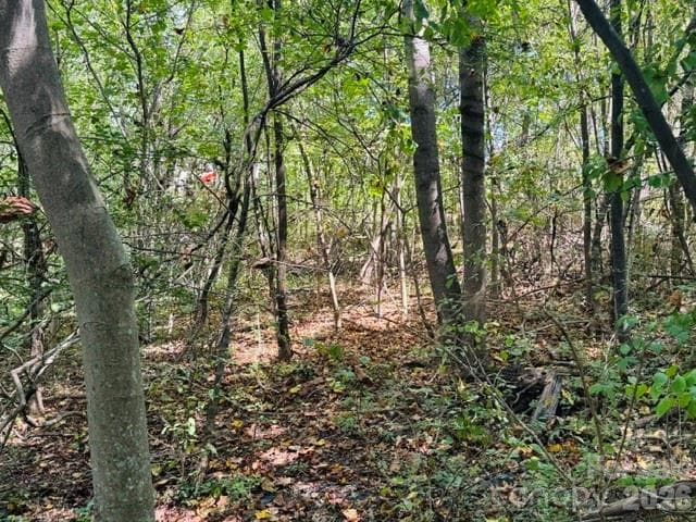 Lot at TBD Hi Alta Avenue, Asheville, photo 3 of 39