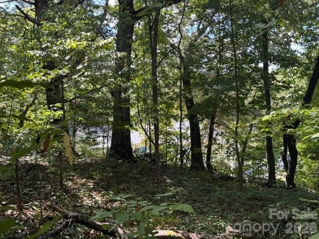 Lot at TBD Hi Alta Avenue, Asheville, photo 6 of 39
