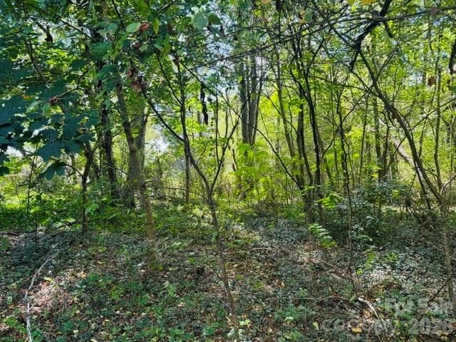 Lot at TBD Hi Alta Avenue, Asheville, photo 11 of 39