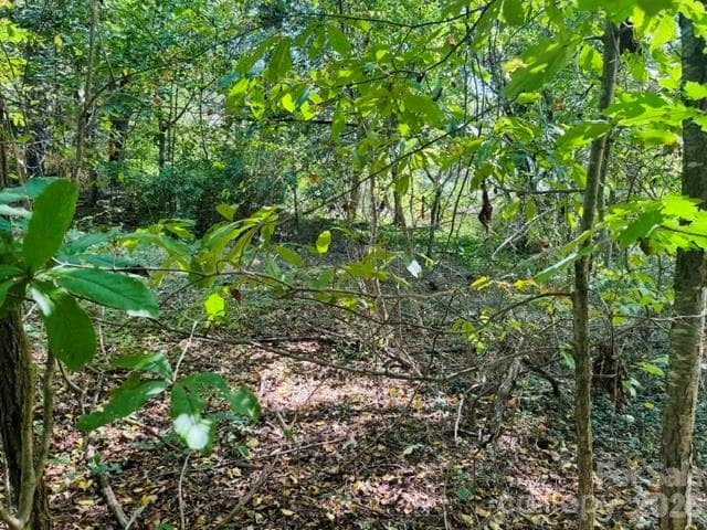 Lot at TBD Hi Alta Avenue, Asheville, photo 13 of 39