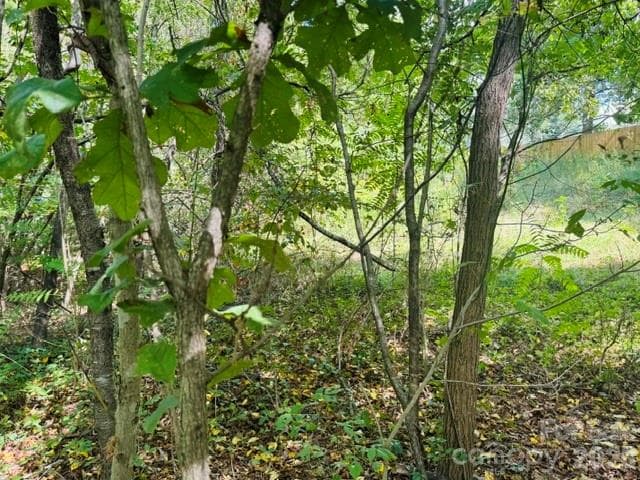 Lot at TBD Hi Alta Avenue, Asheville, photo 15 of 39