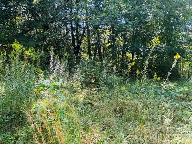 Lot at TBD Hi Alta Avenue, Asheville, photo 19 of 39