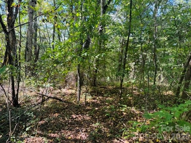 Lot at TBD Hi Alta Avenue, Asheville, photo 21 of 39