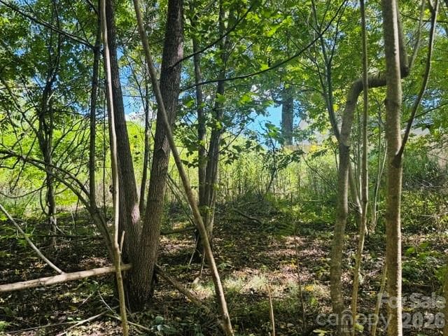 Lot at TBD Hi Alta Avenue, Asheville, photo 22 of 39