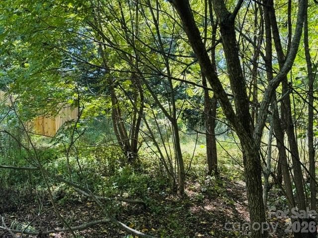 Lot at TBD Hi Alta Avenue, Asheville, photo 23 of 39