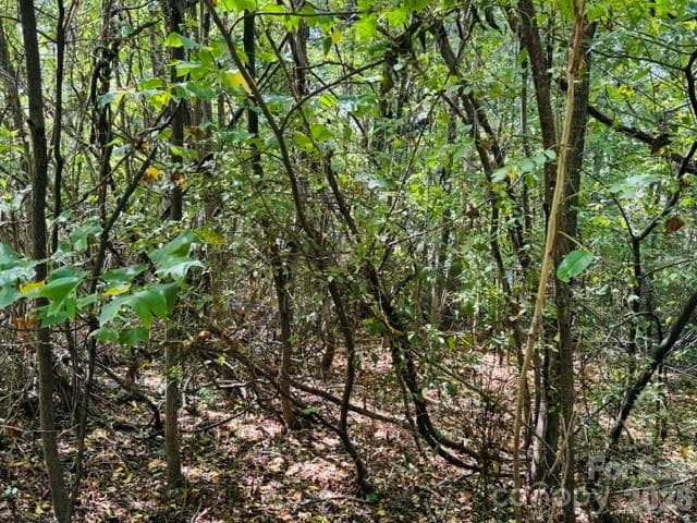 Lot at TBD Hi Alta Avenue, Asheville, photo 24 of 39