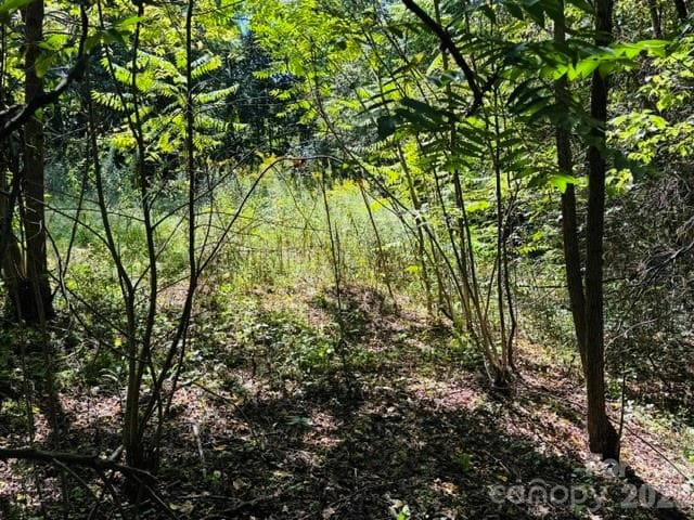 Lot at TBD Hi Alta Avenue, Asheville, photo 25 of 39