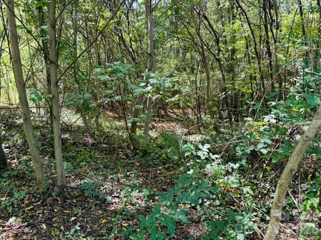 Lot at TBD Hi Alta Avenue, Asheville, photo 27 of 39