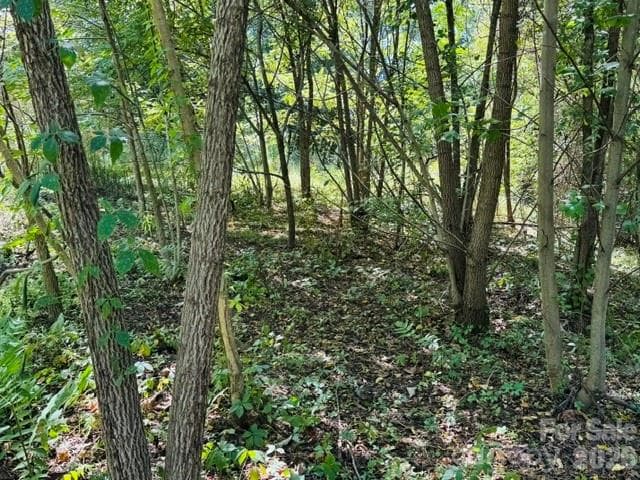 Lot at TBD Hi Alta Avenue, Asheville, photo 28 of 39