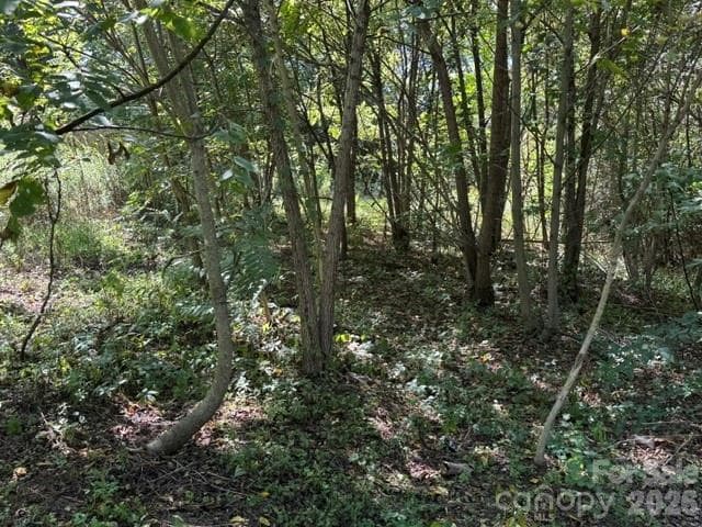 Lot at TBD Hi Alta Avenue, Asheville, photo 29 of 39