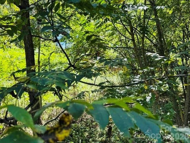 Lot at TBD Hi Alta Avenue, Asheville, photo 30 of 39
