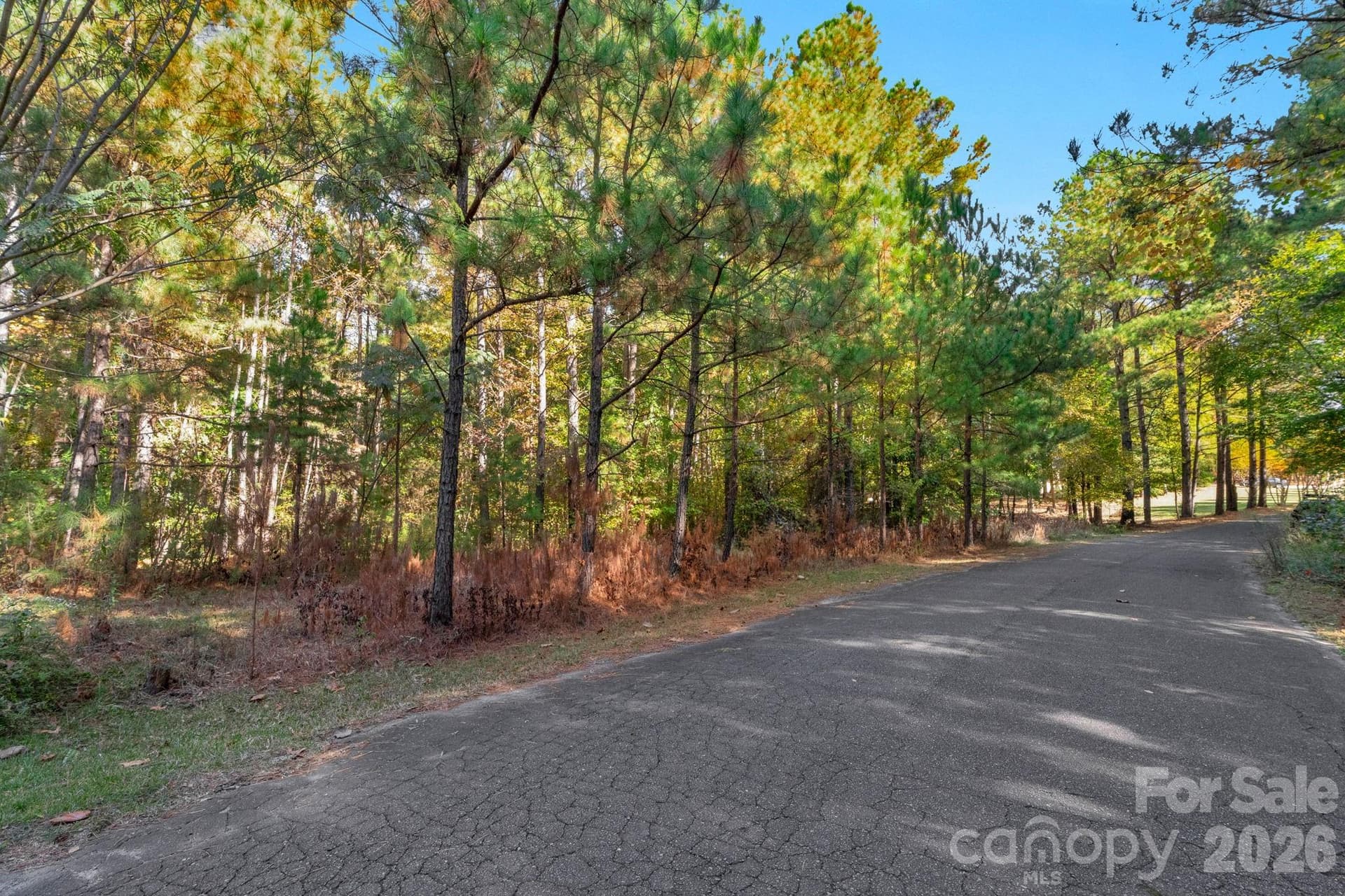 Lot at 00 Charleston Court, Indian Land, photo 6 of 18