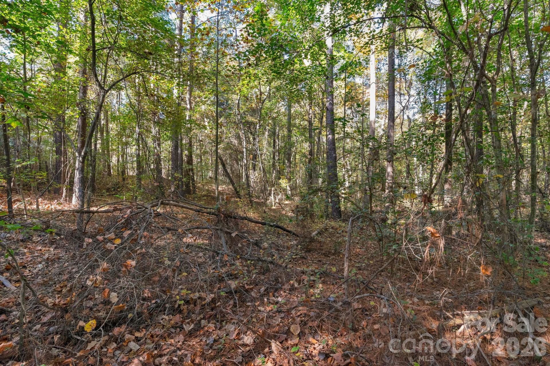 Lot at 00 Charleston Court, Indian Land, photo 11 of 18