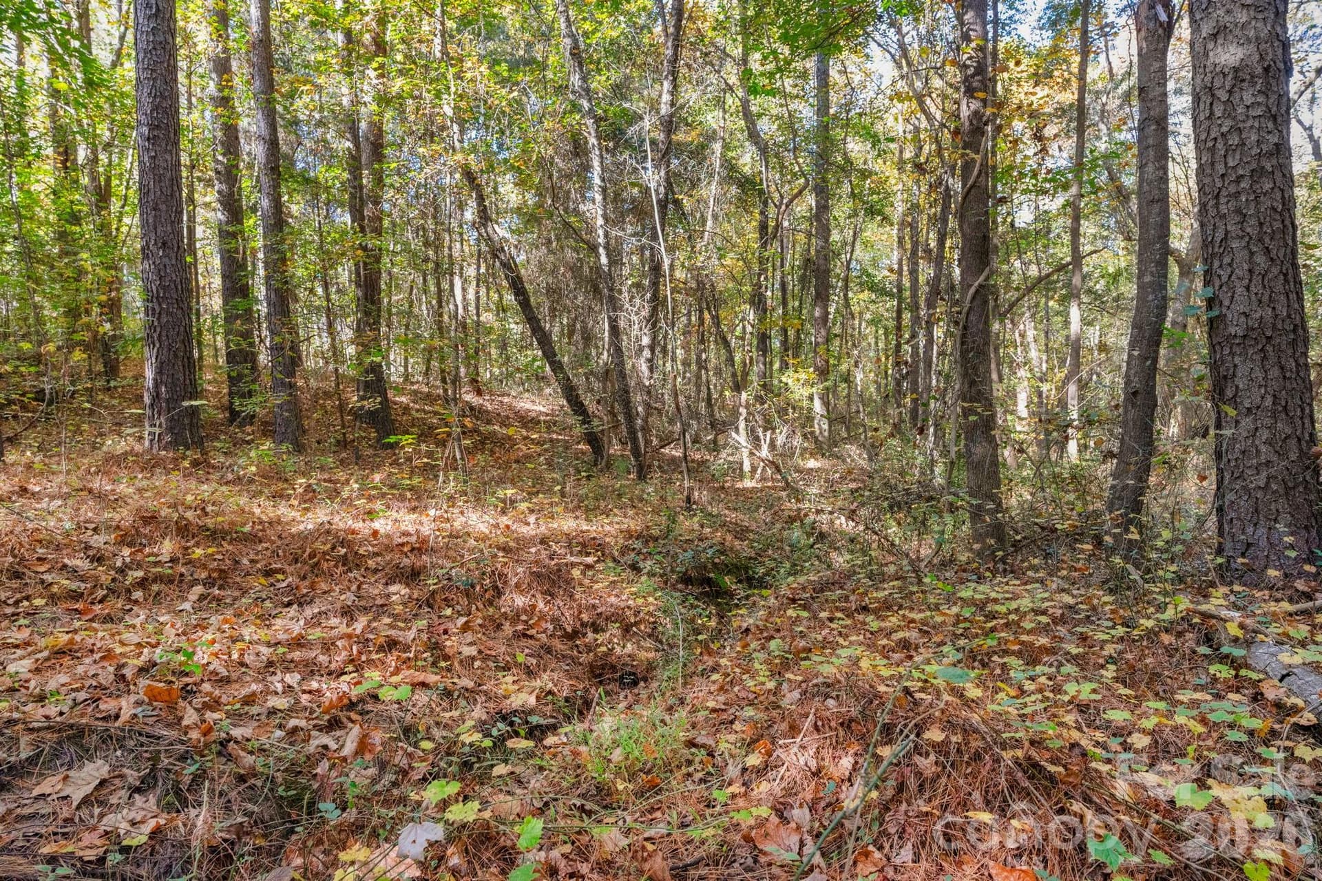 Lot at 00 Charleston Court, Indian Land, photo 12 of 18