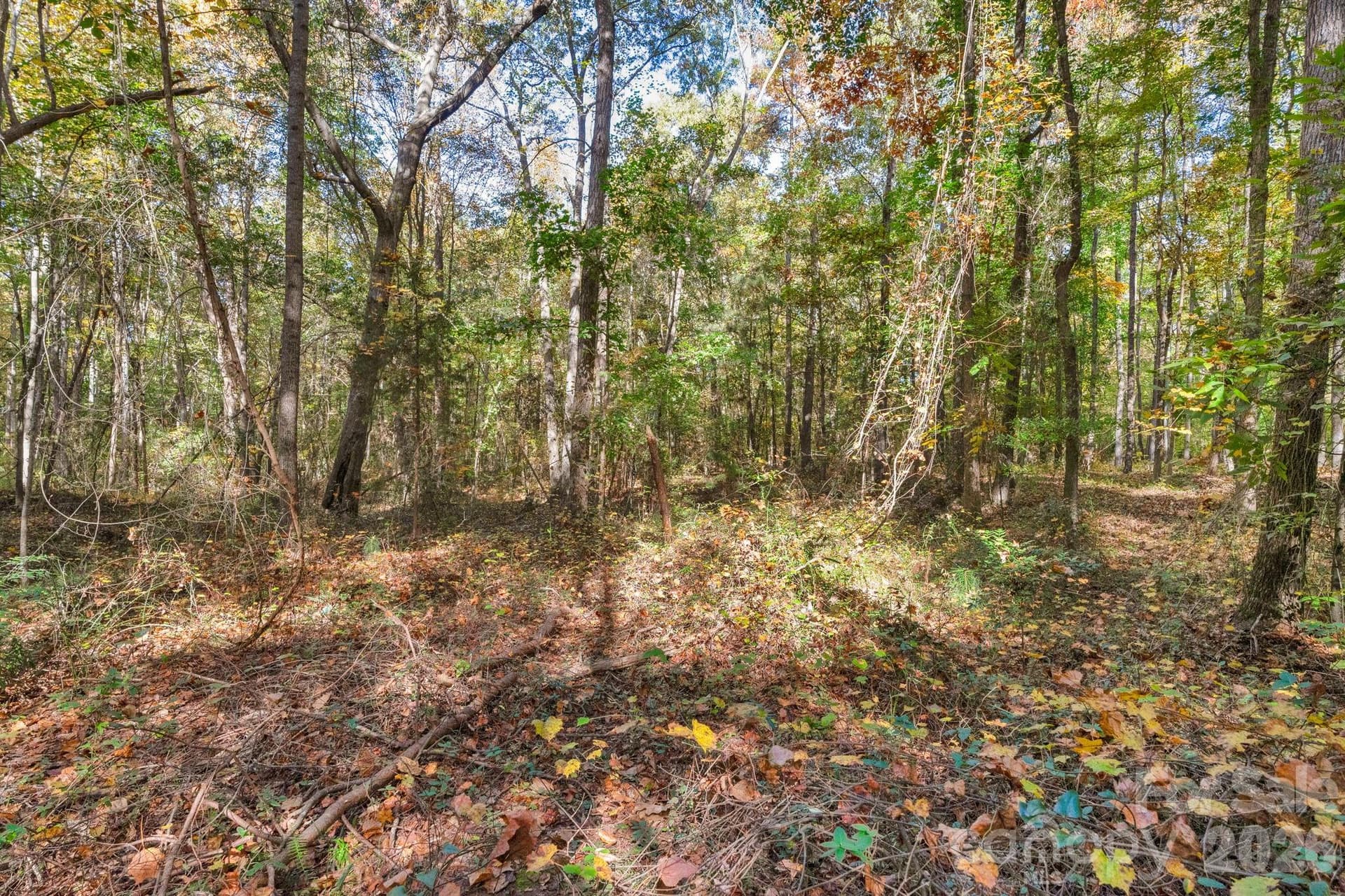 Lot at 00 Charleston Court, Indian Land, photo 13 of 18