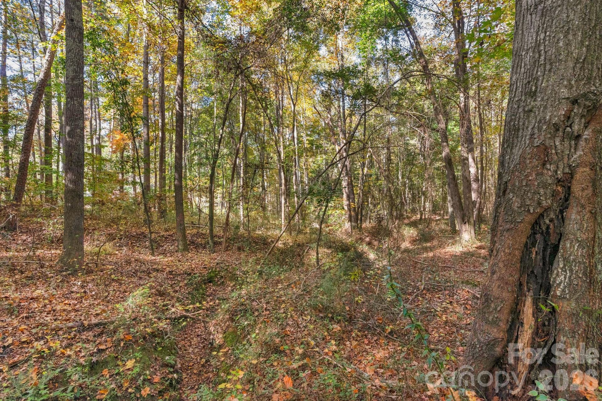 Lot at 00 Charleston Court, Indian Land, photo 14 of 18