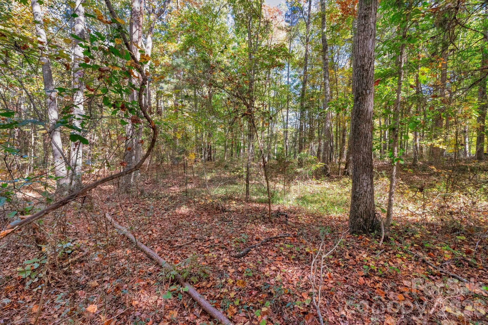 Lot at 00 Charleston Court, Indian Land, photo 15 of 18