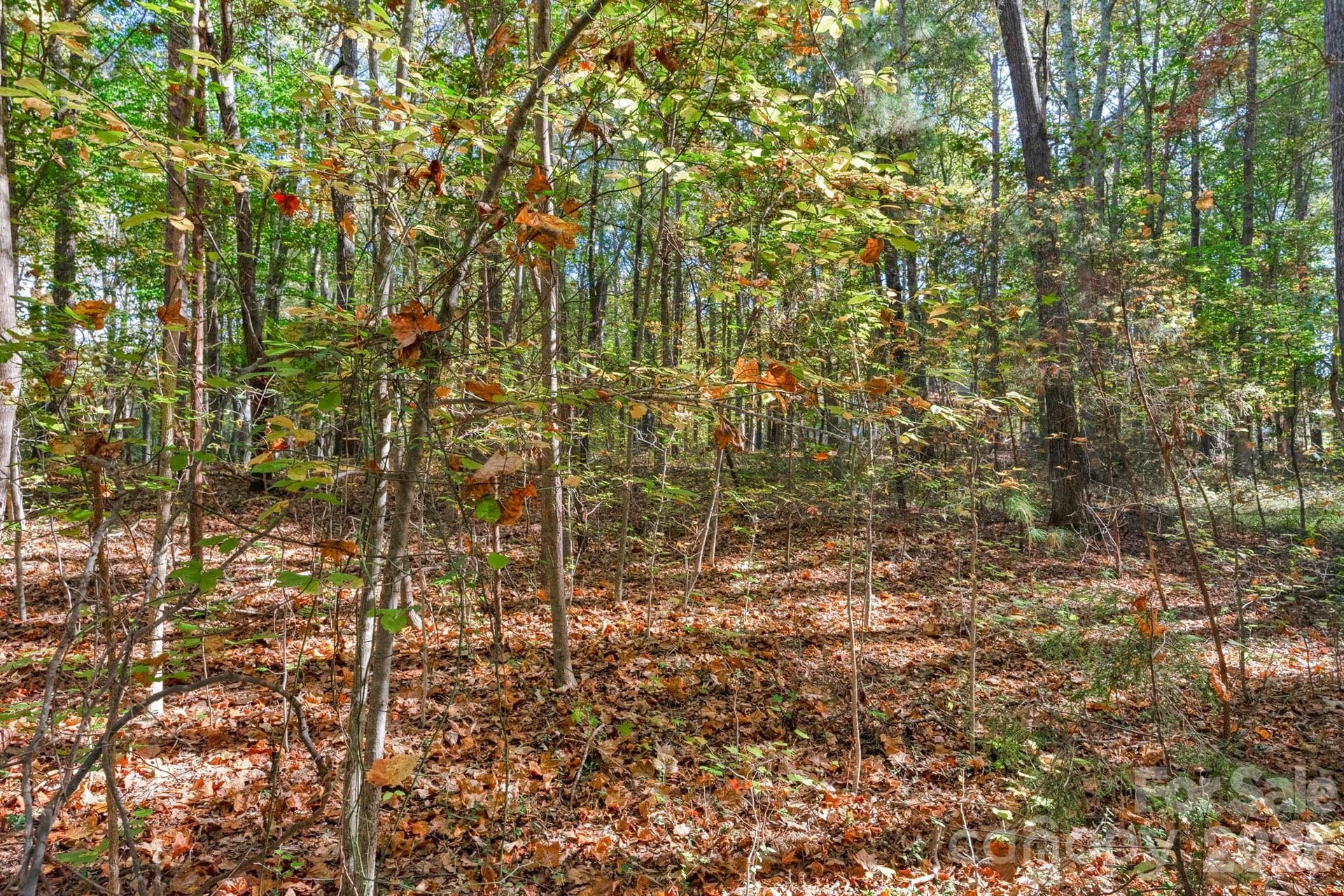 Lot at 00 Charleston Court, Indian Land, photo 16 of 18