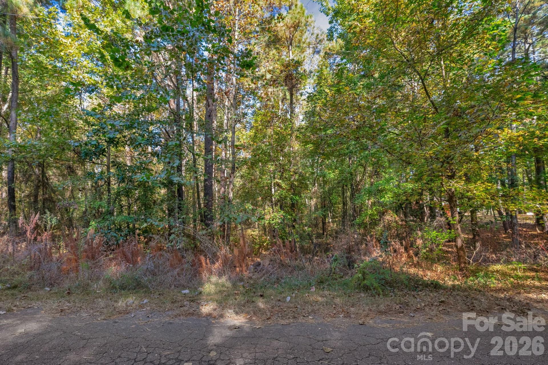 Lot at 00 Charleston Court, Indian Land, photo 17 of 18