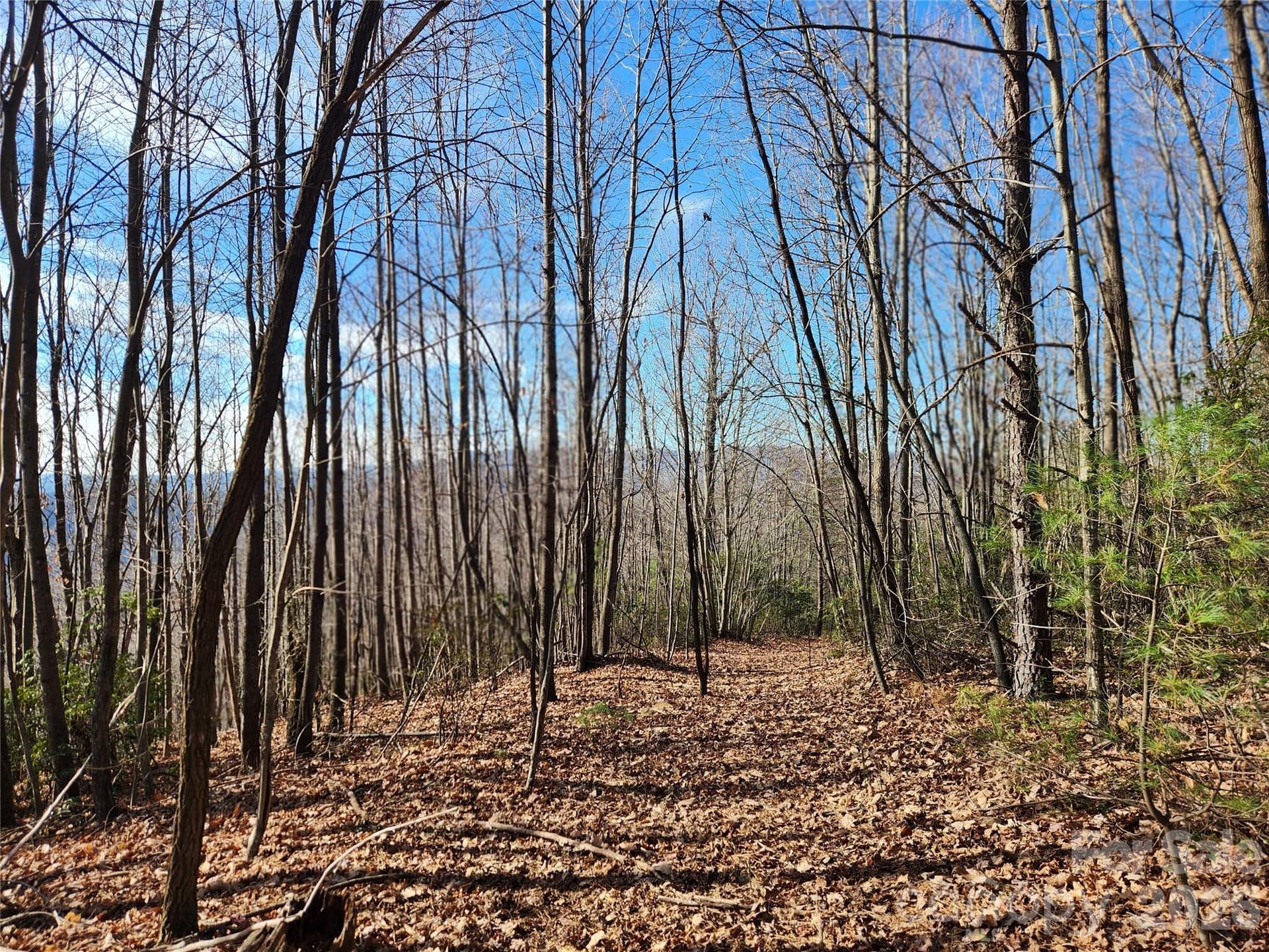 Acreage at 6900 Mertie Road, Millers Creek, photo 13 of 30