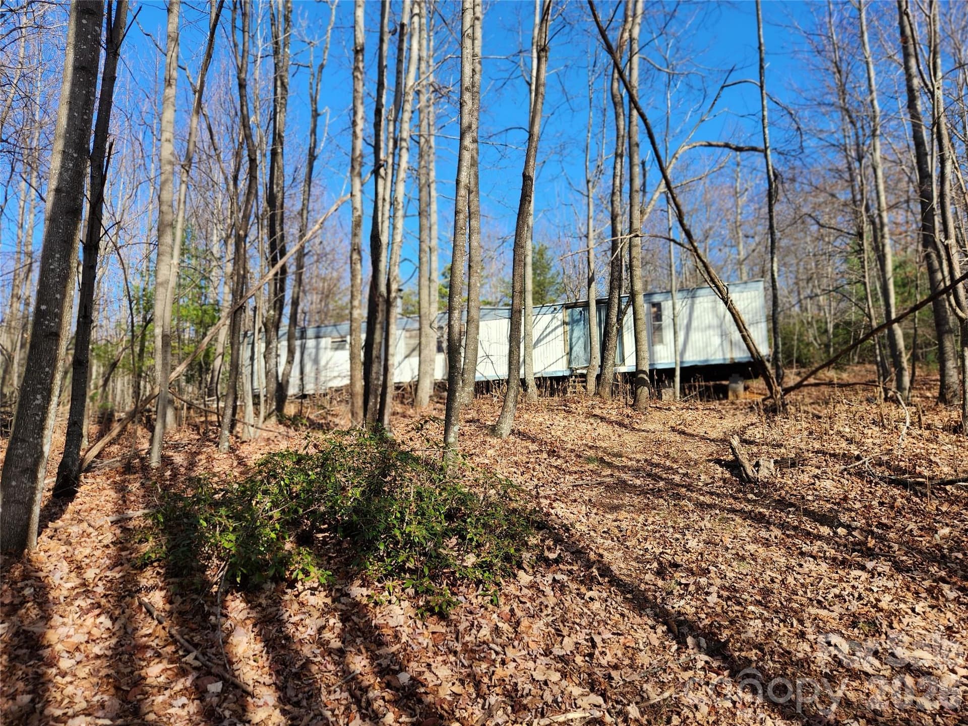 Acreage at 6900 Mertie Road, Millers Creek, photo 14 of 30