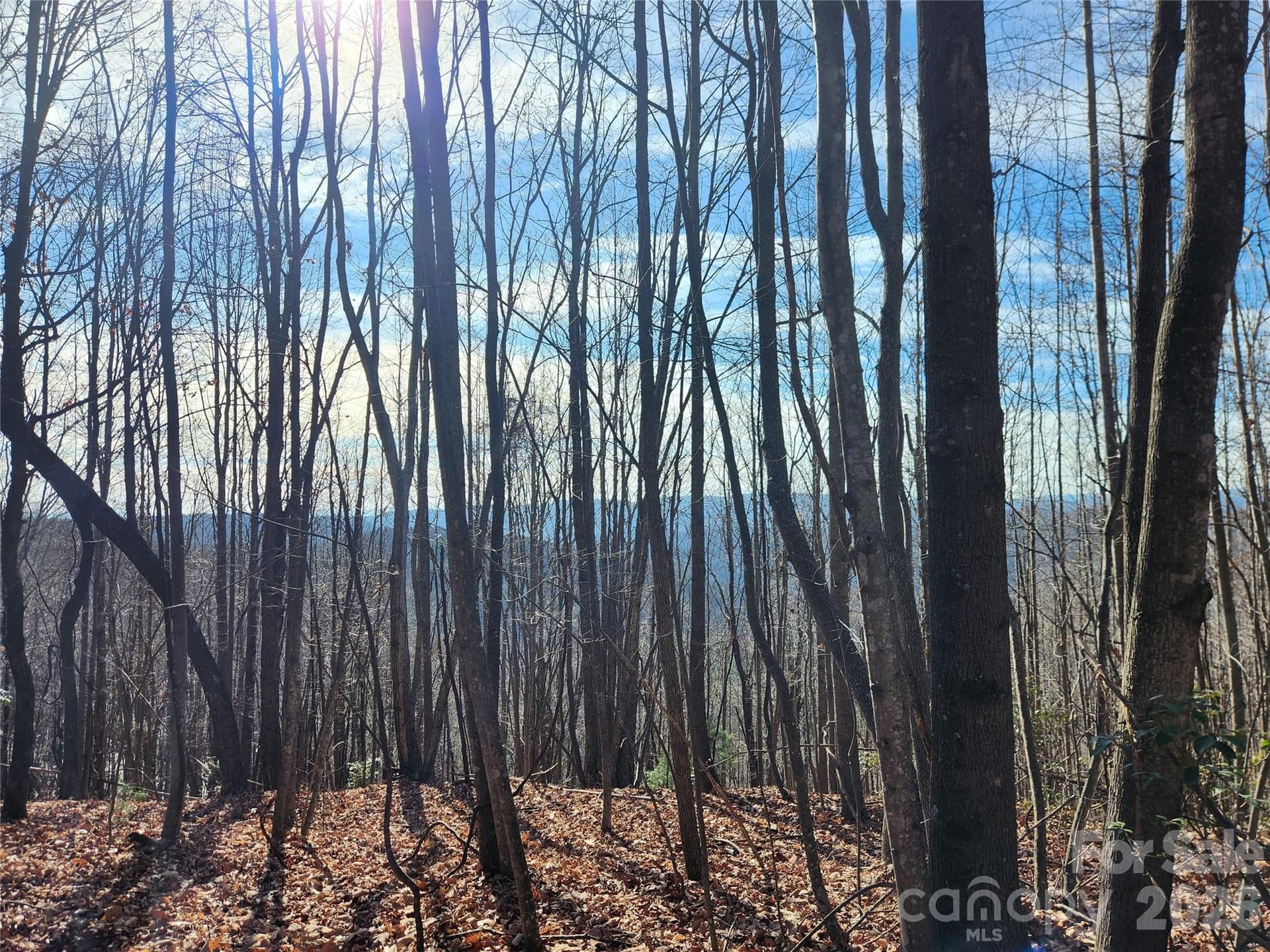 Acreage at 6900 Mertie Road, Millers Creek, photo 15 of 30