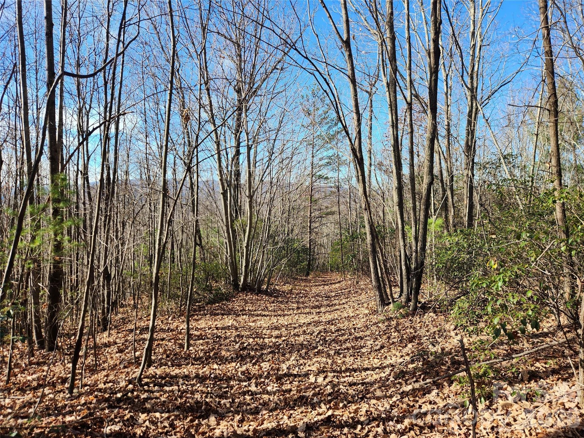 Acreage at 6900 Mertie Road, Millers Creek, photo 16 of 30