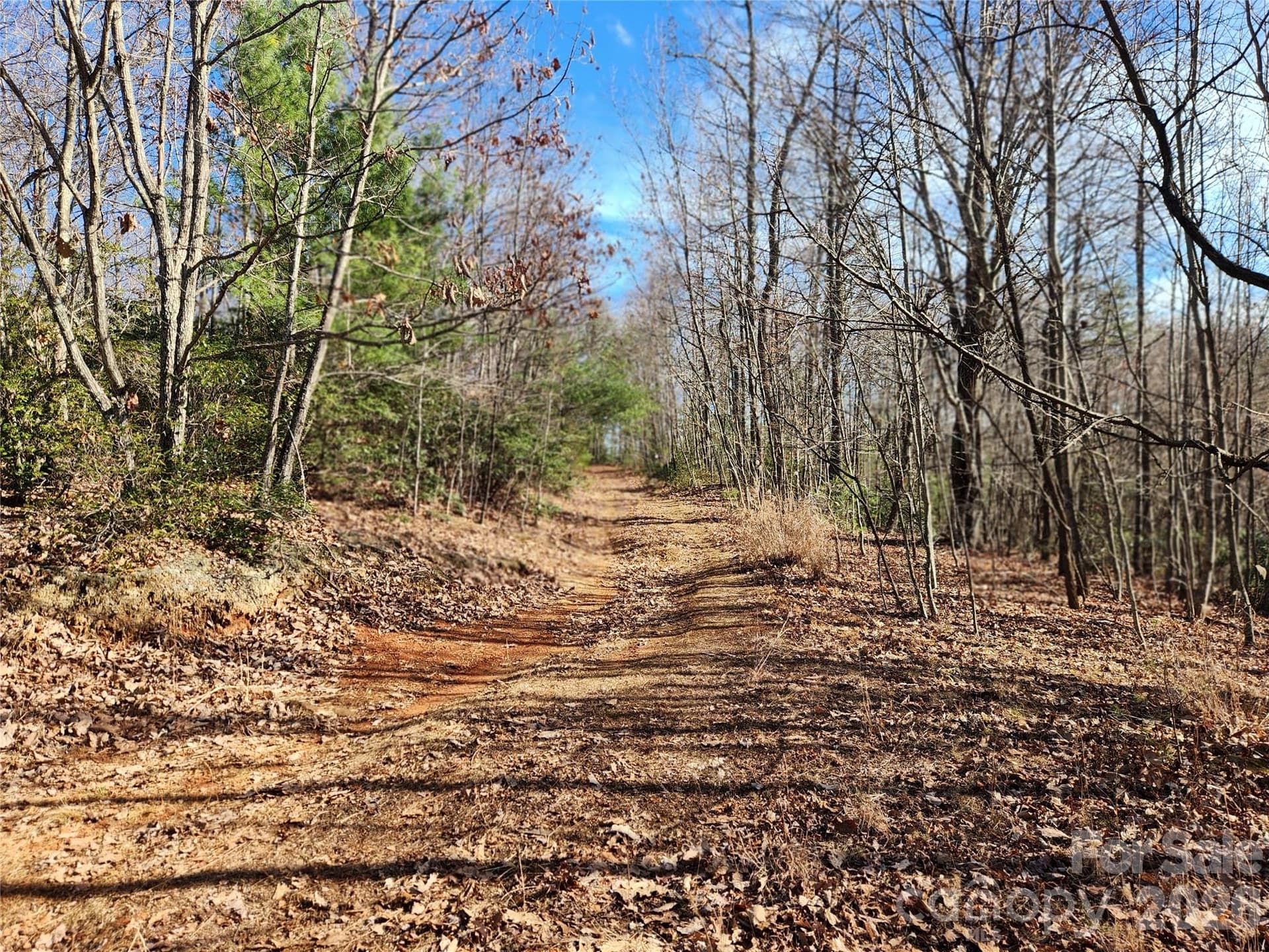 Acreage at 6900 Mertie Road, Millers Creek, photo 17 of 30
