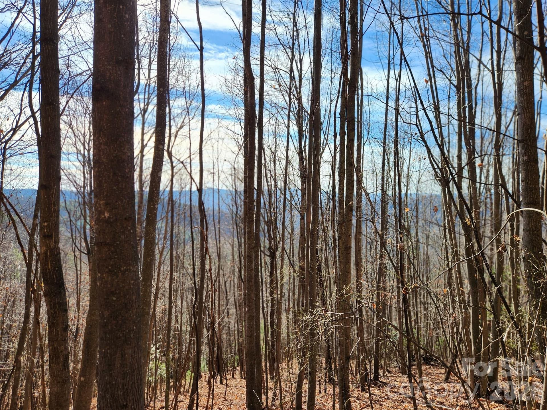 Acreage at 6900 Mertie Road, Millers Creek, photo 18 of 30