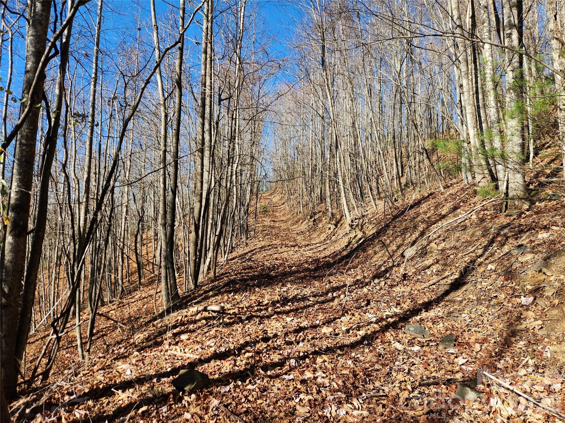 Acreage at 6900 Mertie Road, Millers Creek, photo 20 of 30