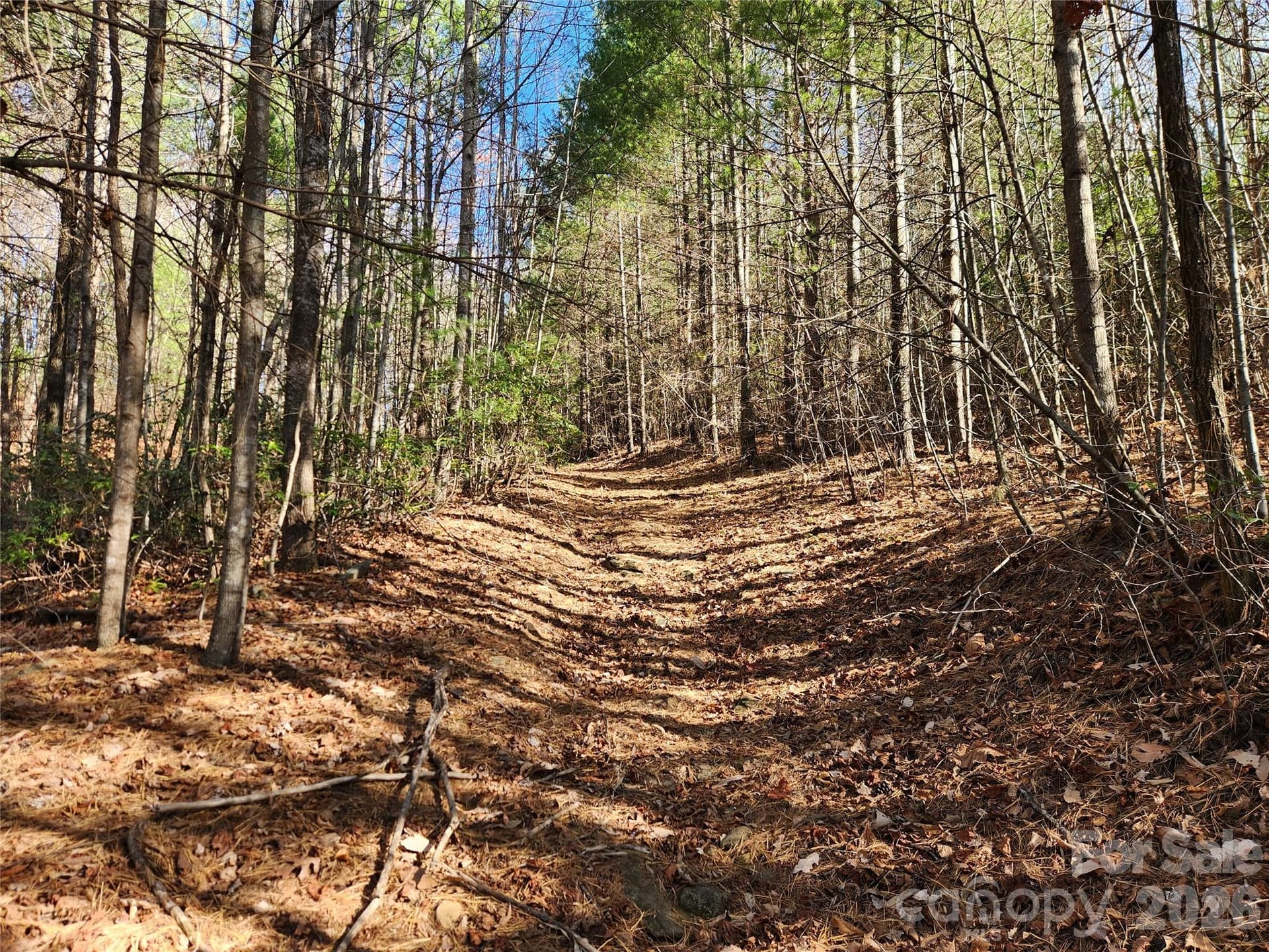 Acreage at 6900 Mertie Road, Millers Creek, photo 21 of 30