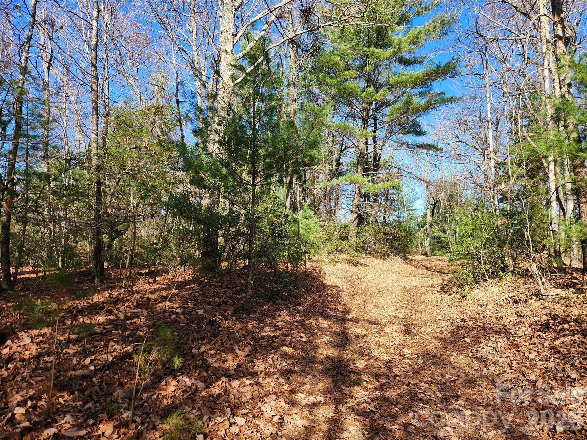Acreage at 6900 Mertie Road, Millers Creek, photo 22 of 30