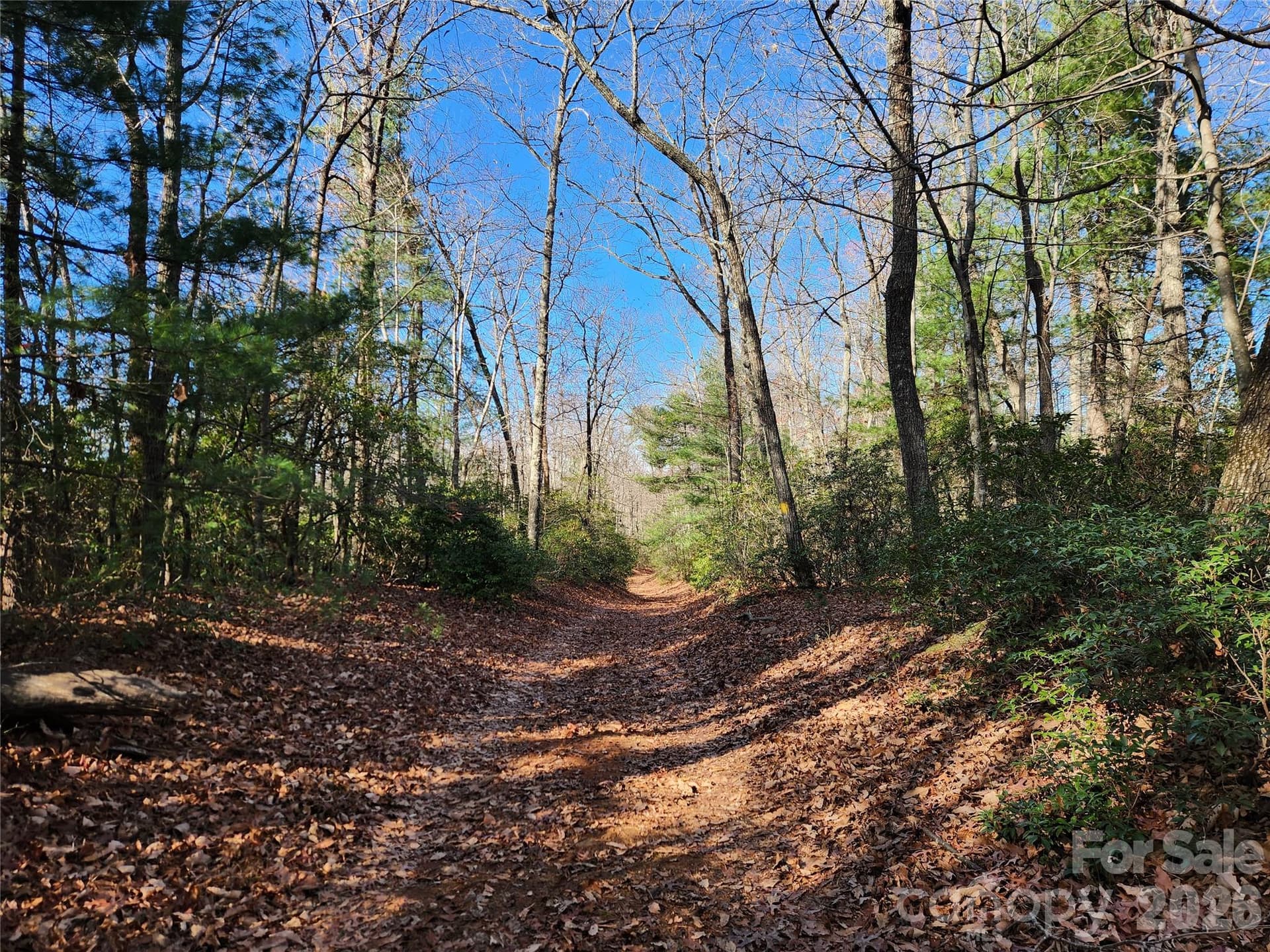 Acreage at 6900 Mertie Road, Millers Creek, photo 23 of 30