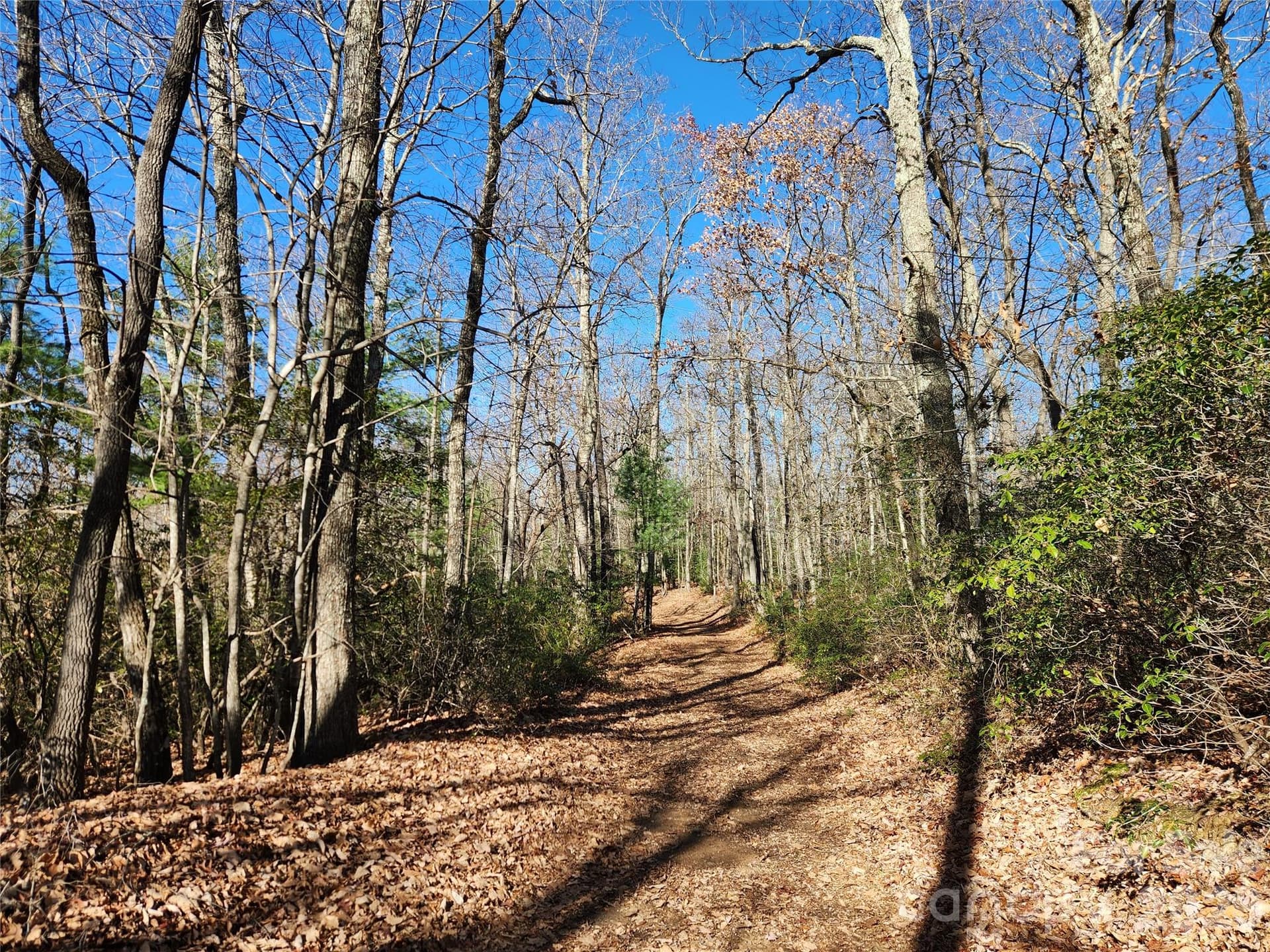 Acreage at 6900 Mertie Road, Millers Creek, photo 24 of 30