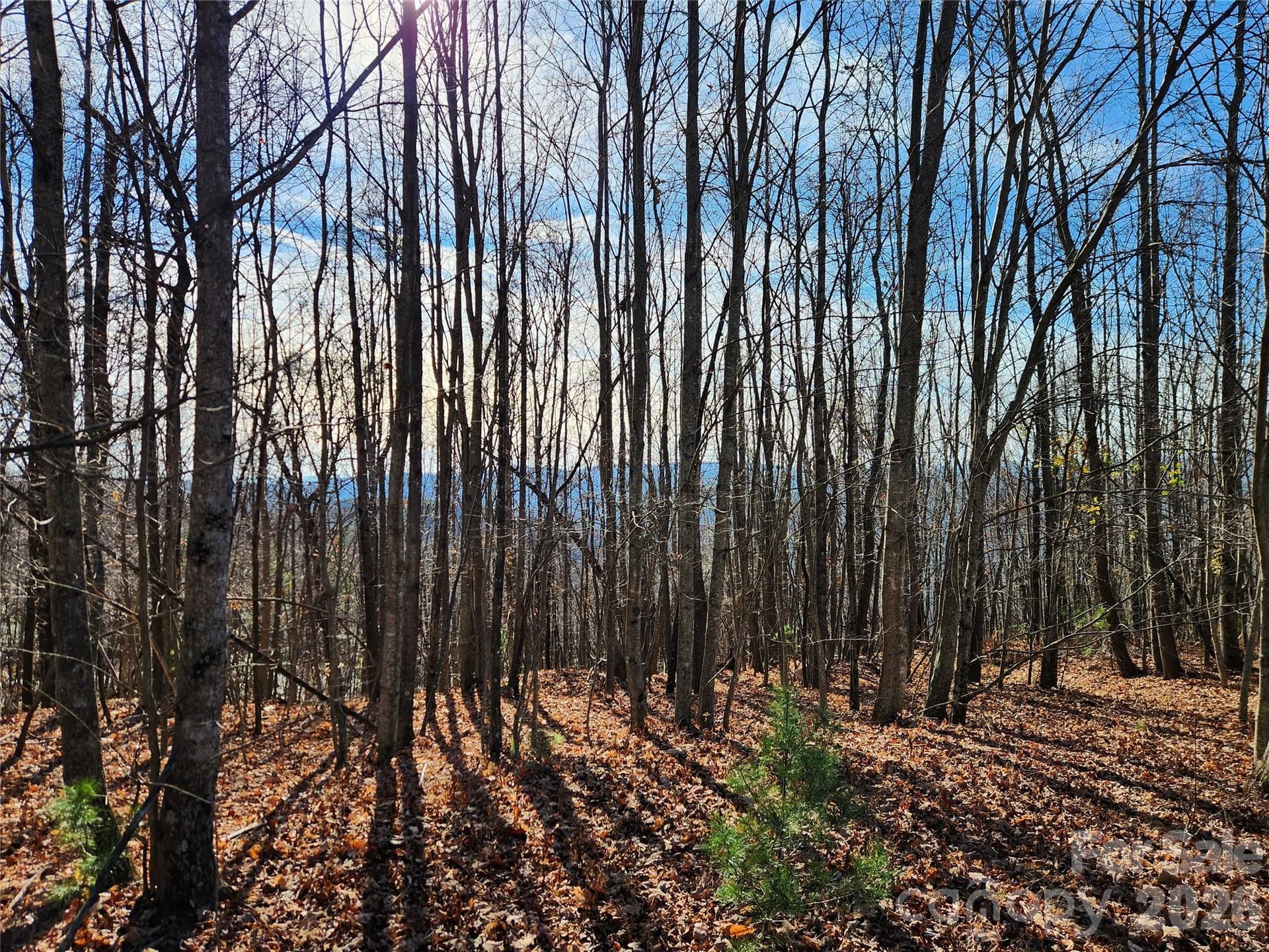 Acreage at 6900 Mertie Road, Millers Creek, photo 26 of 30