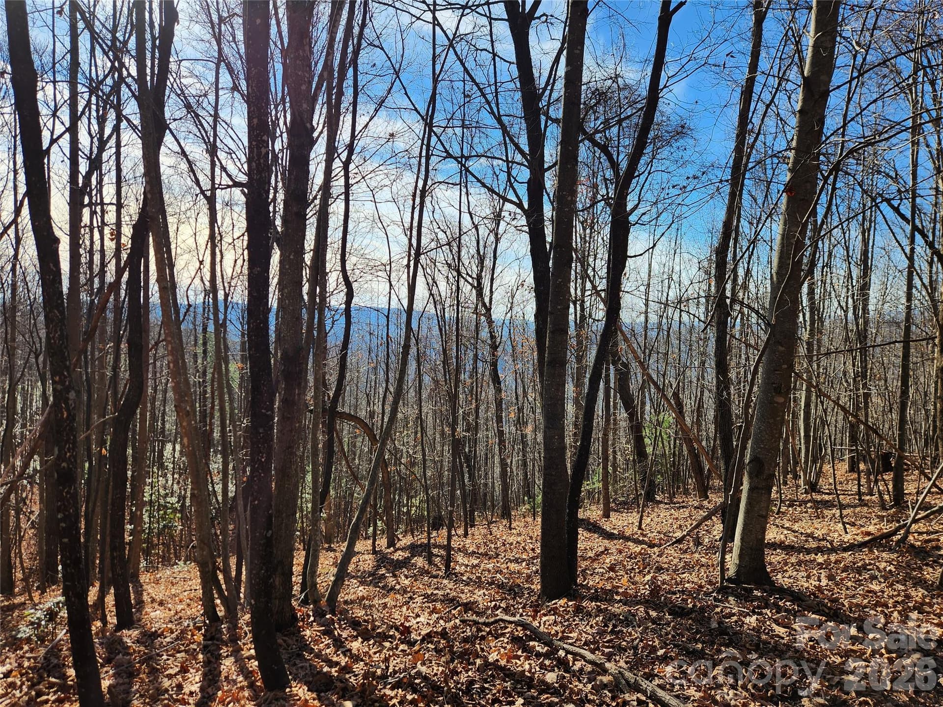 Acreage at 6900 Mertie Road, Millers Creek, photo 27 of 30