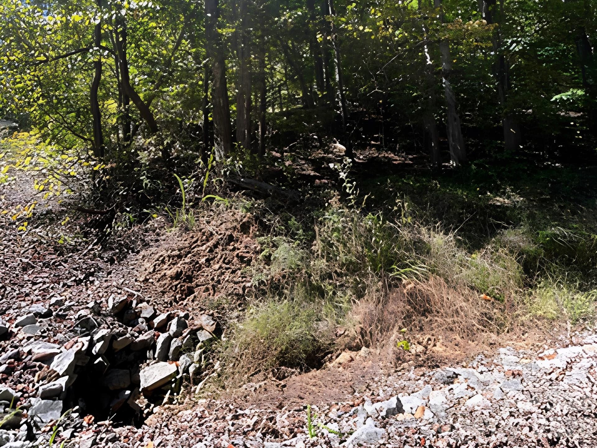 000 Park Trail