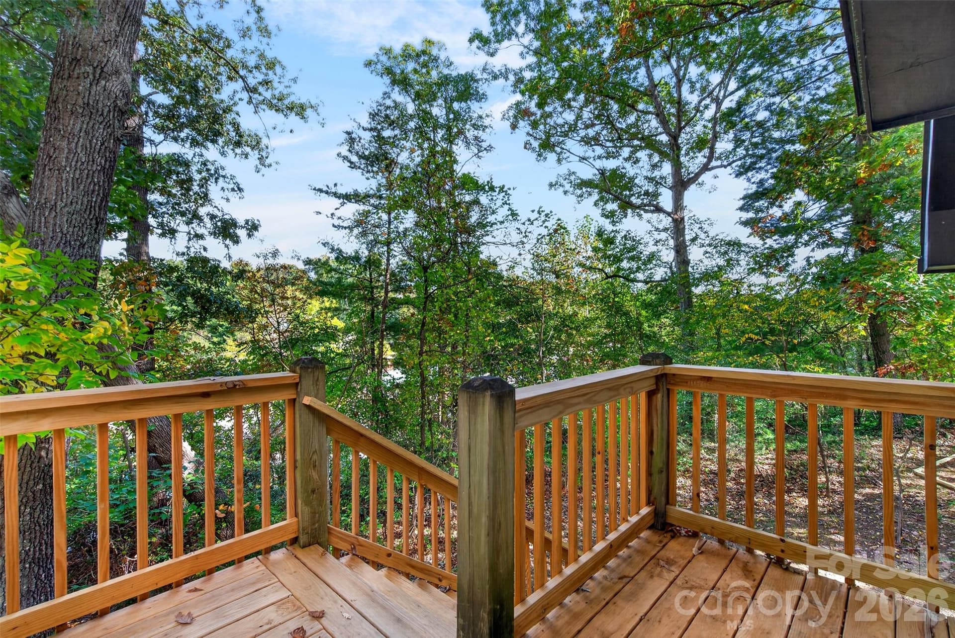 Portfolio at 64 and 56 Pine Cone Drive, Asheville, photo 42 of 45