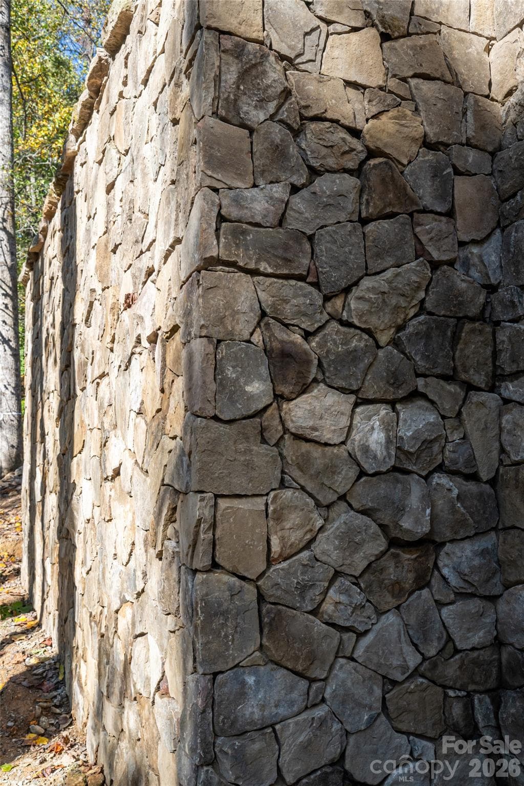 Tennessee Flag Stone detail - 200 Bent Pine Trace, Hendersonville