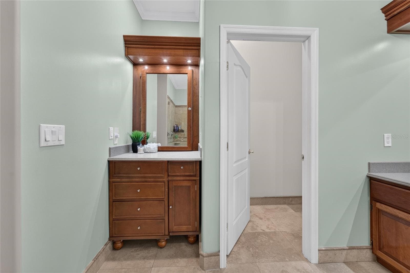 Primary bedroom ensuite - 1009 EMERALD CREEK DR, VALRICO