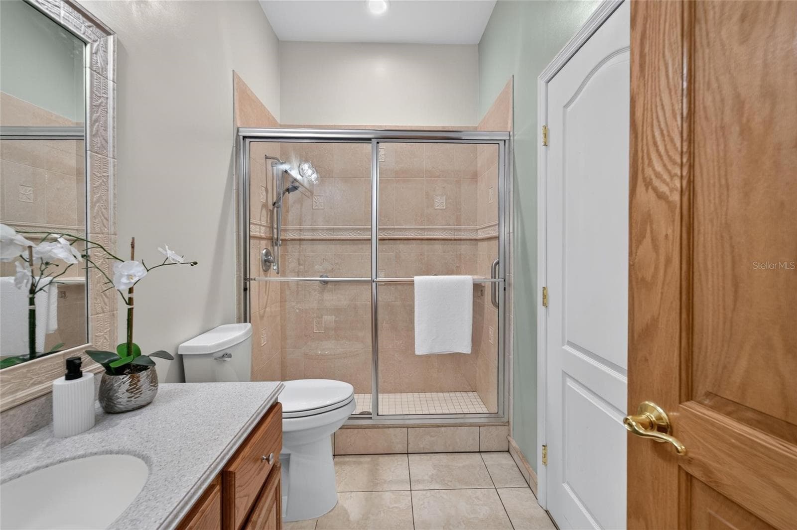4th bedroom ensuite - 1009 EMERALD CREEK DR, VALRICO