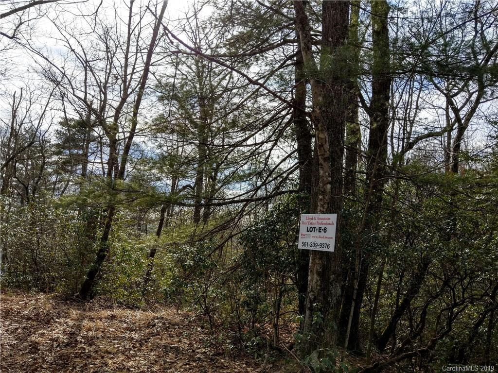 000 Dogwood Drive