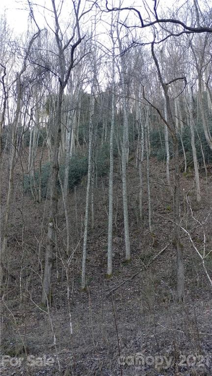Lot at Sylva, photo 2 of 7